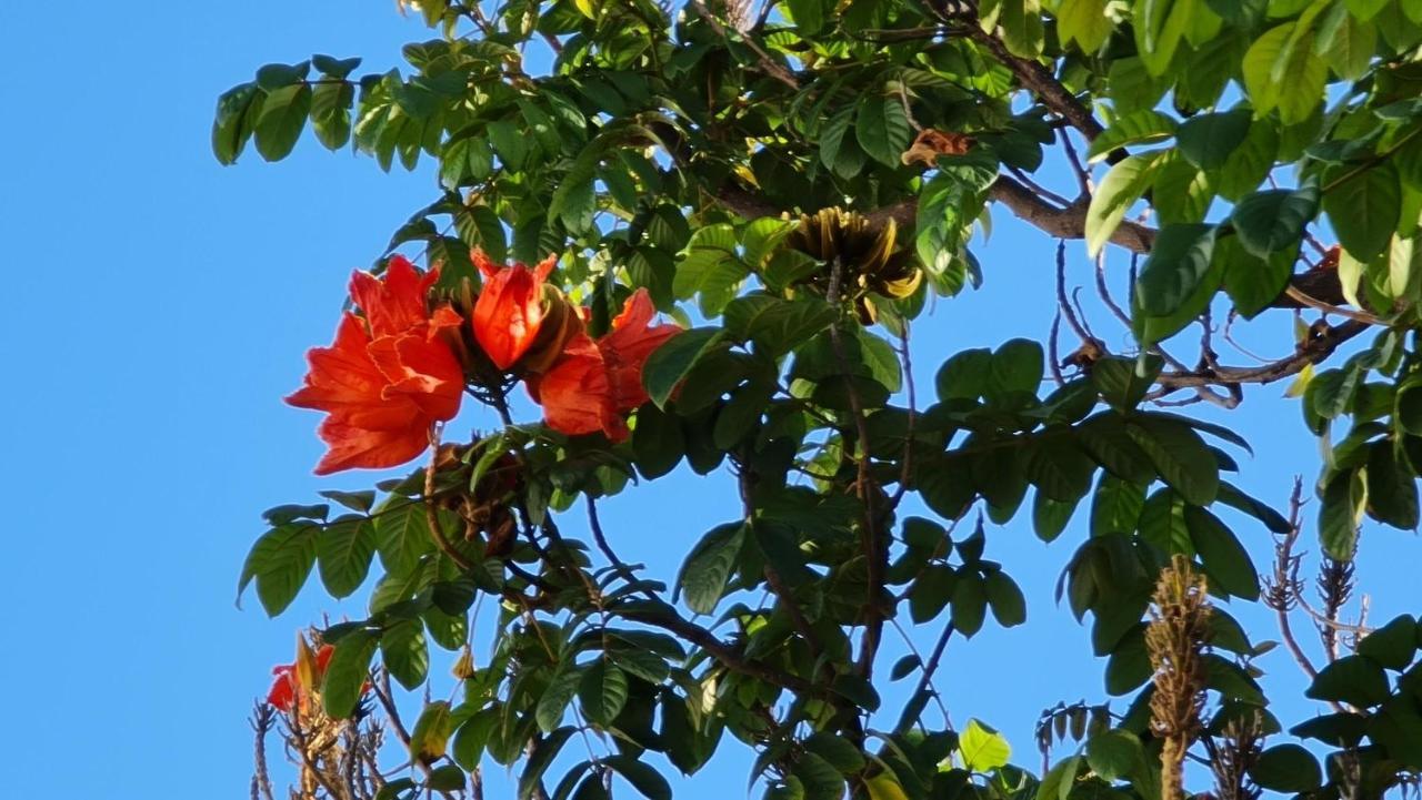 Finca Dona Maria Бенальмадена Экстерьер фото